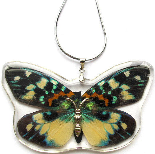 2 1/2″ NEW! Real INSECT Yellow RED Black BUTTERFLY NECKLACE Jewelry PENDANT