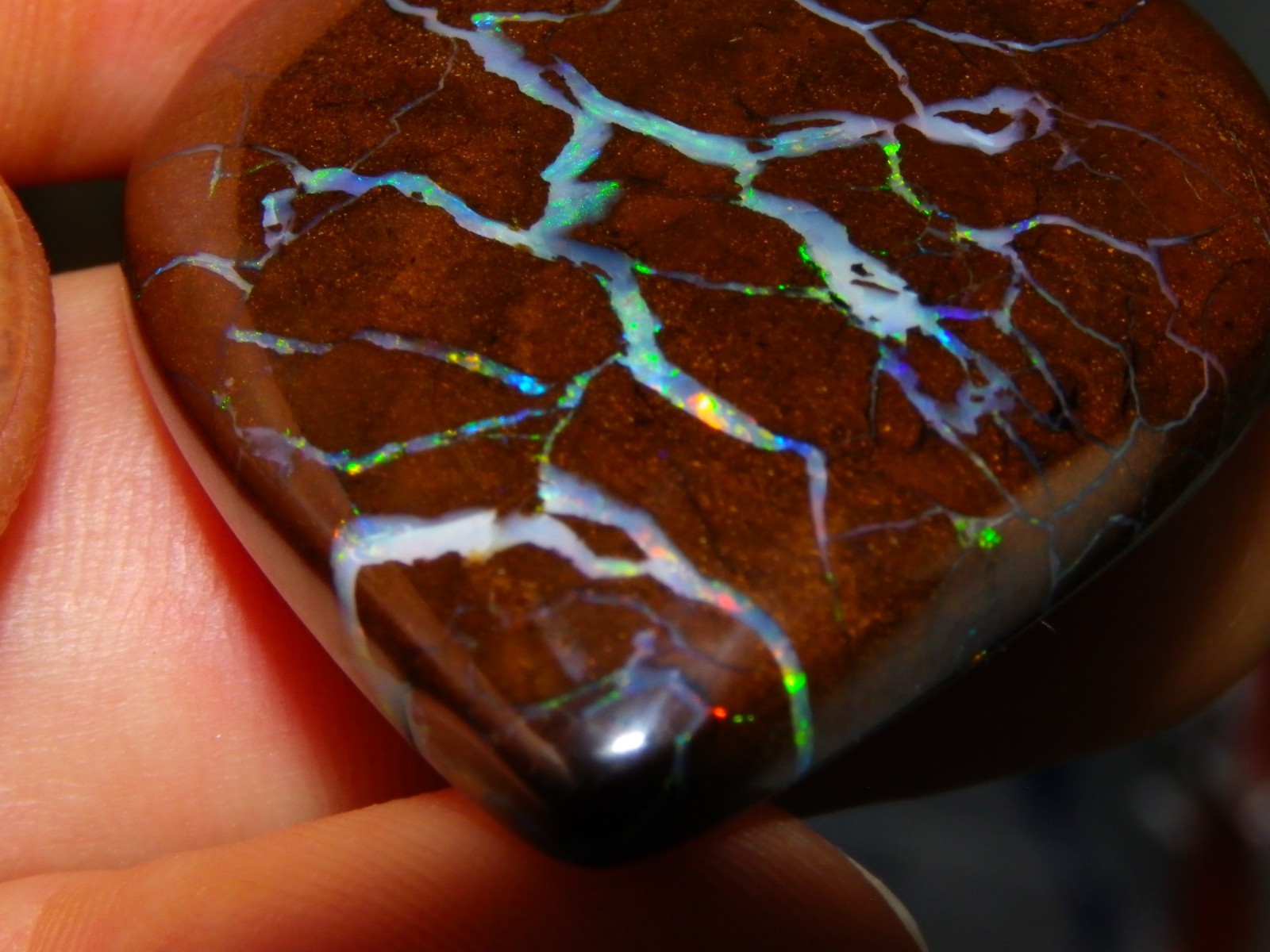 Quality Opalton Boulder Matrix Opal Freeform Cab 128.78cts Multicolour/Veins Qld