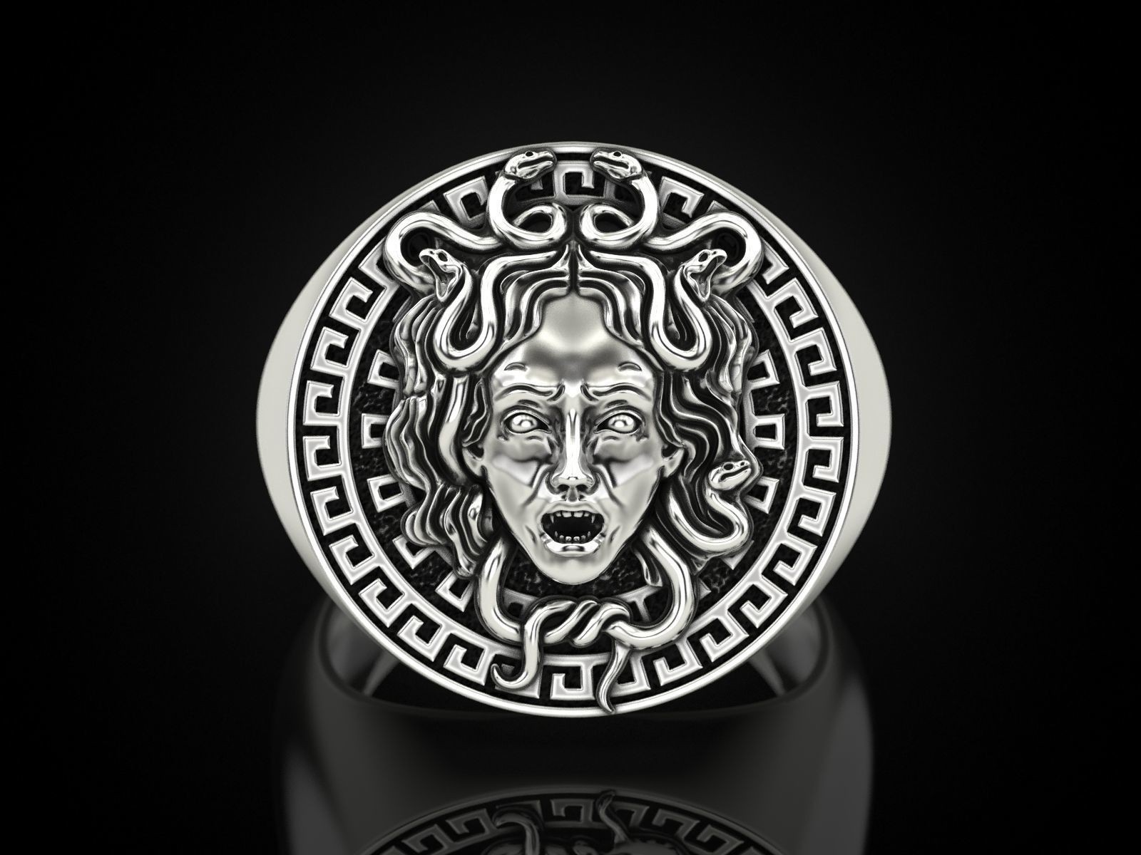 Oxidized Men’s Medusa Gorgon Gothic Punk 925 Sterling Silver Statement Rings