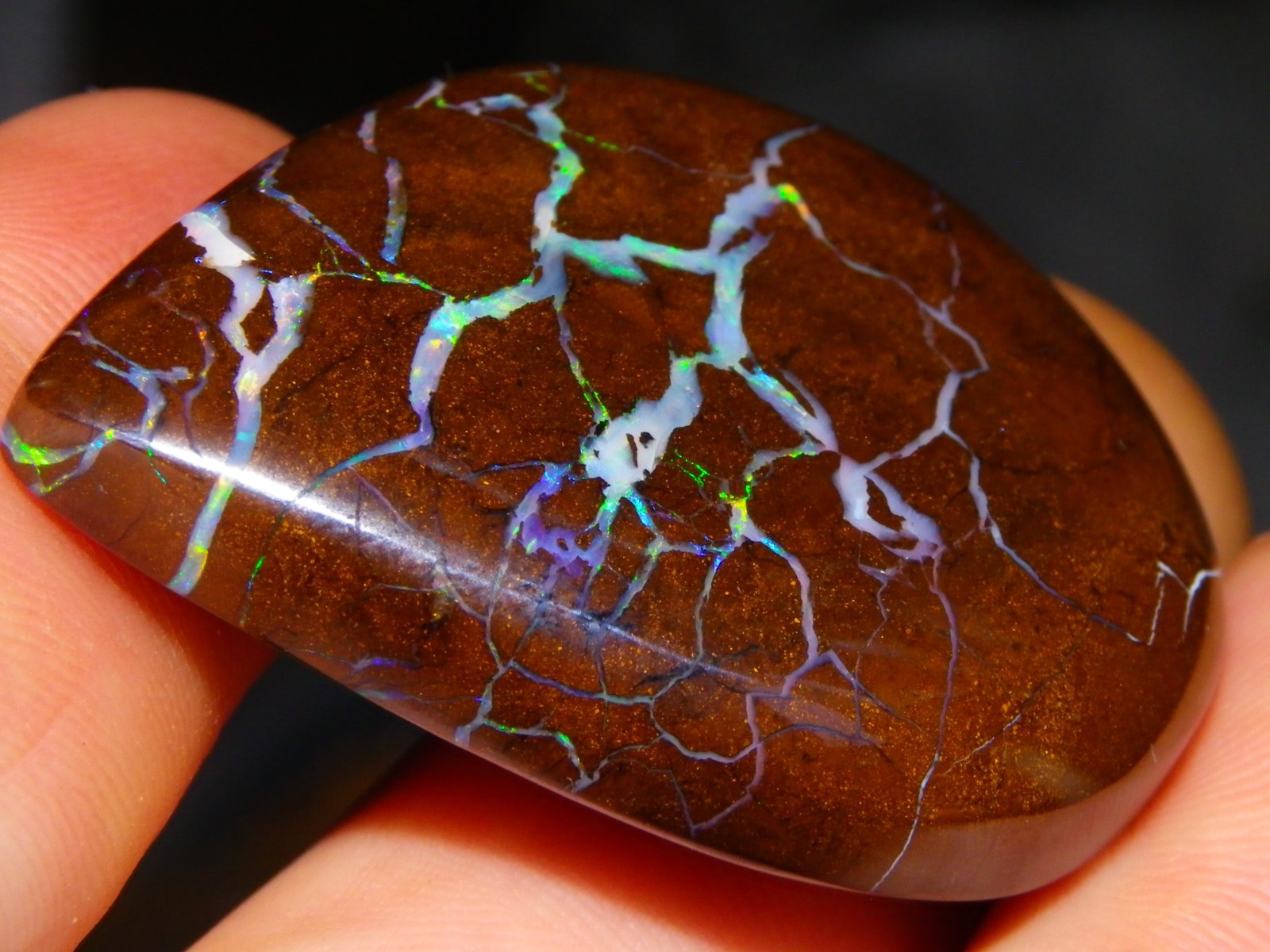 Quality Opalton Boulder Matrix Opal Freeform Cab 128.78cts Multicolour/Veins Qld