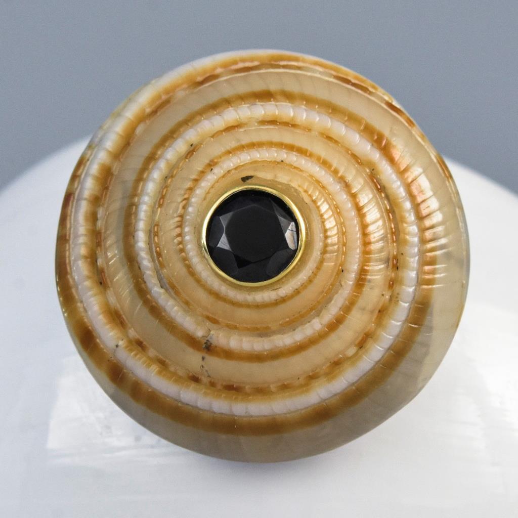 Evil Eye Design Natural Sea Snail Architectonica trochlearis Black Spinel 6.00g