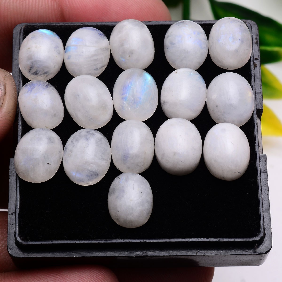 16 Pcs Natural Blue Shine Moonstone 11mmx9mm Oval Cabochon Untreated Gemstones