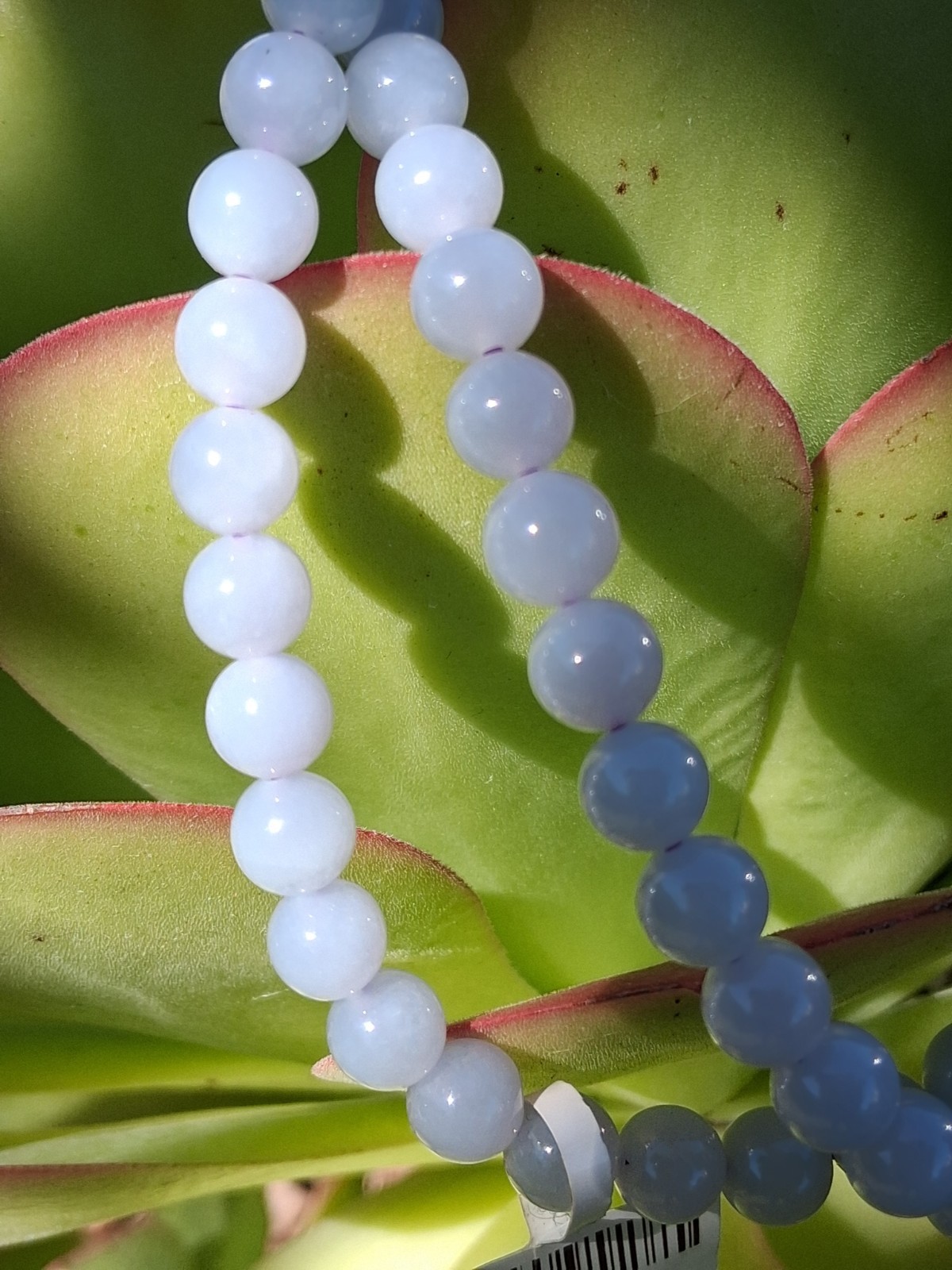 Certified Jadeite Round Beaded Strand Necklace, with Gold-Tone Clasp 25in, 7.6mm