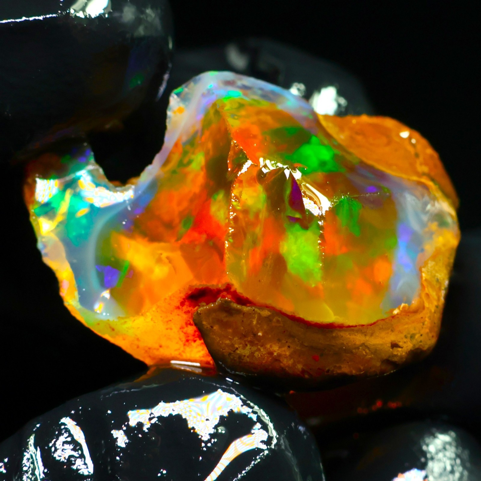 Natural Ethiopian Welo Opal Rough 19.40 Ct Gemstone – Bright Play of Color Fire