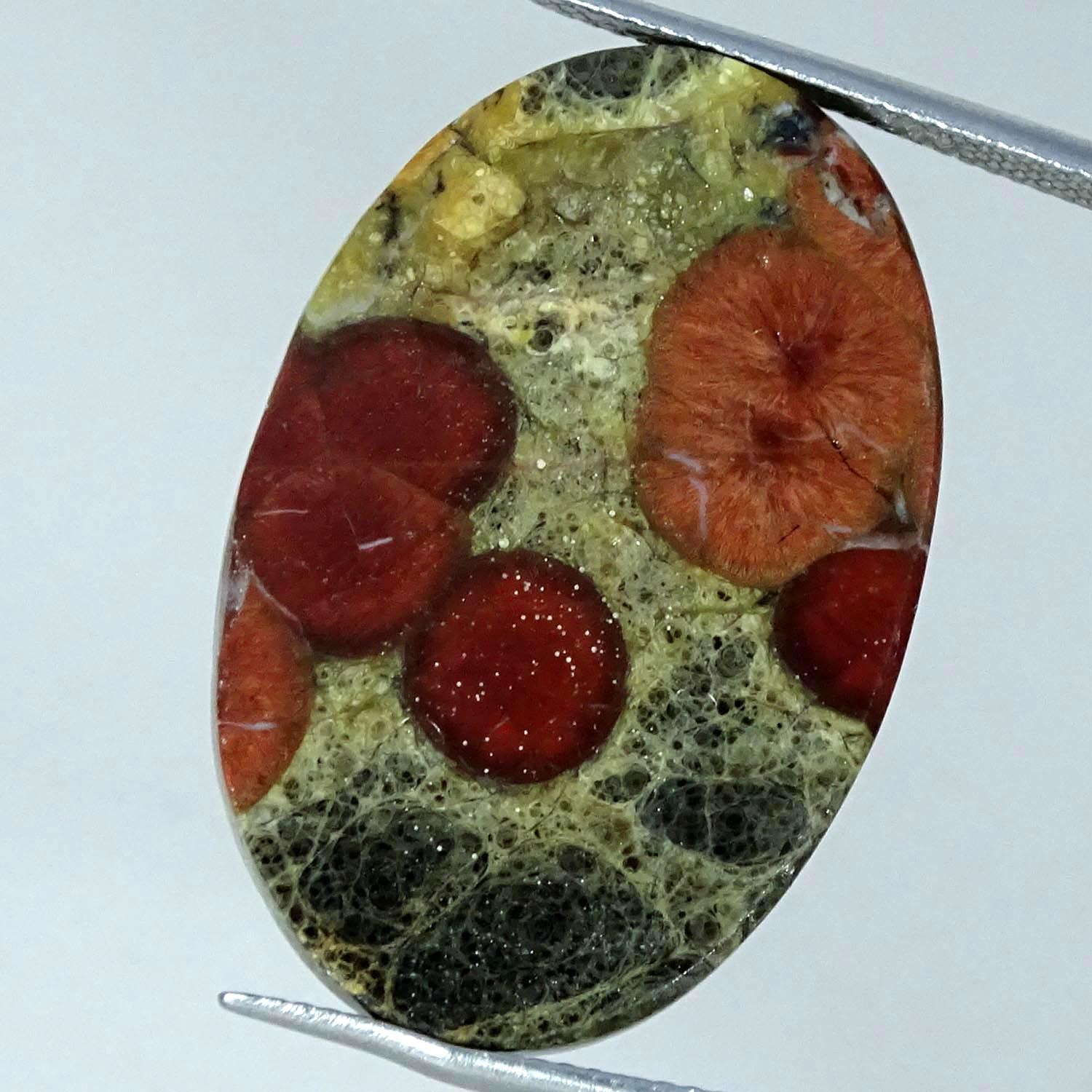 23.10Cts Natural Designer Peanut Obsidian Oval Cabochon Gemstone 20X30X5MM