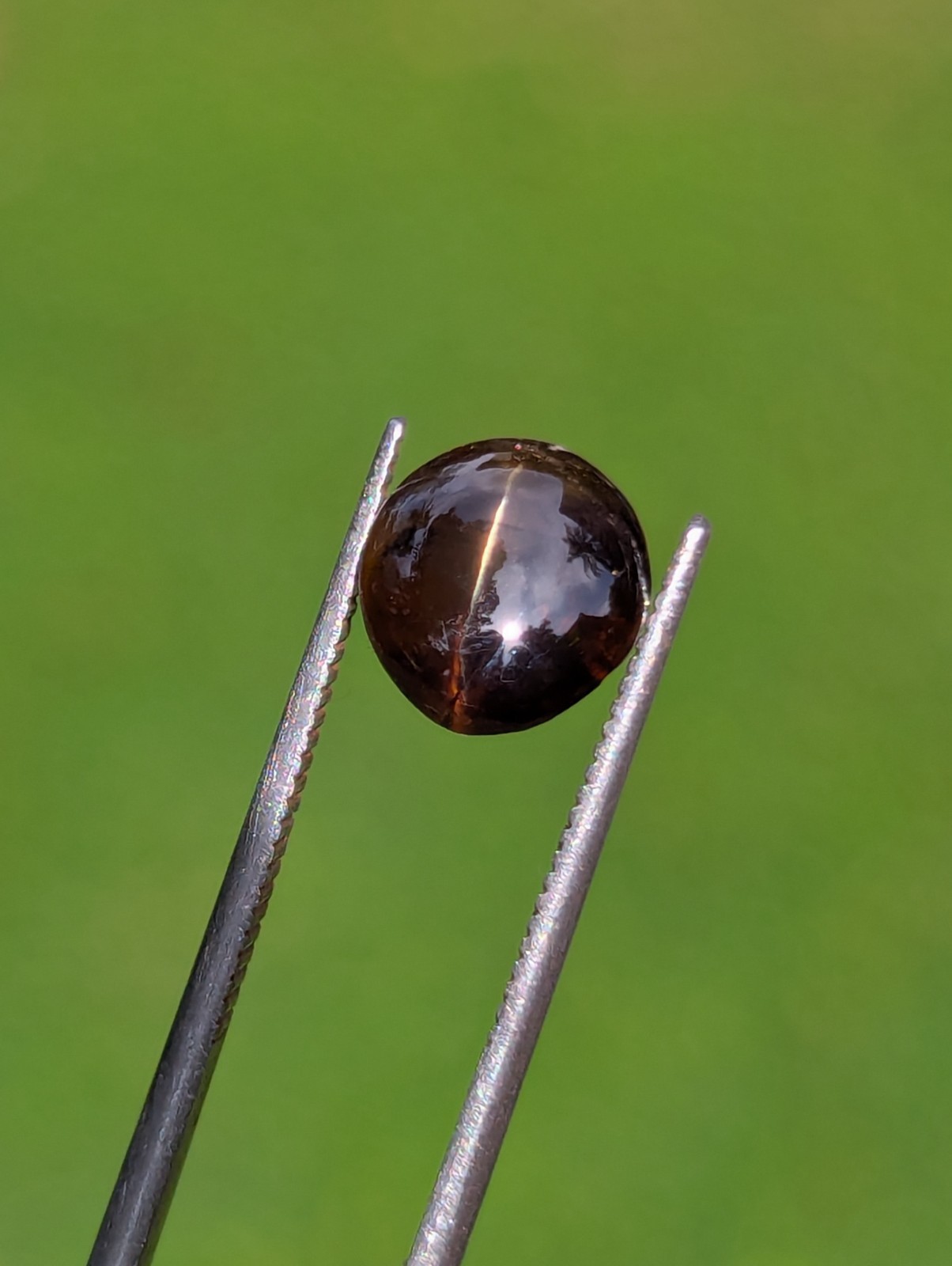 Natural Chrysoberyl Cat’s Eye 3.19ct | CSL Certified | Brown | No Treatment