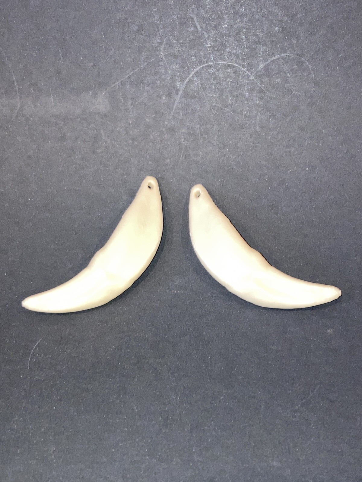 71mm Left and Right Wolf Canine Teeth | Wolf Canine Pendant set