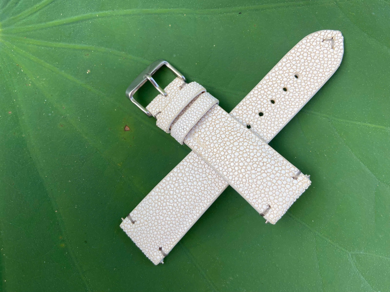 White Stingray Leather Watch Strap Band, Size 18mm 19mm 20mm 21mm 22mm 24mm 26mm