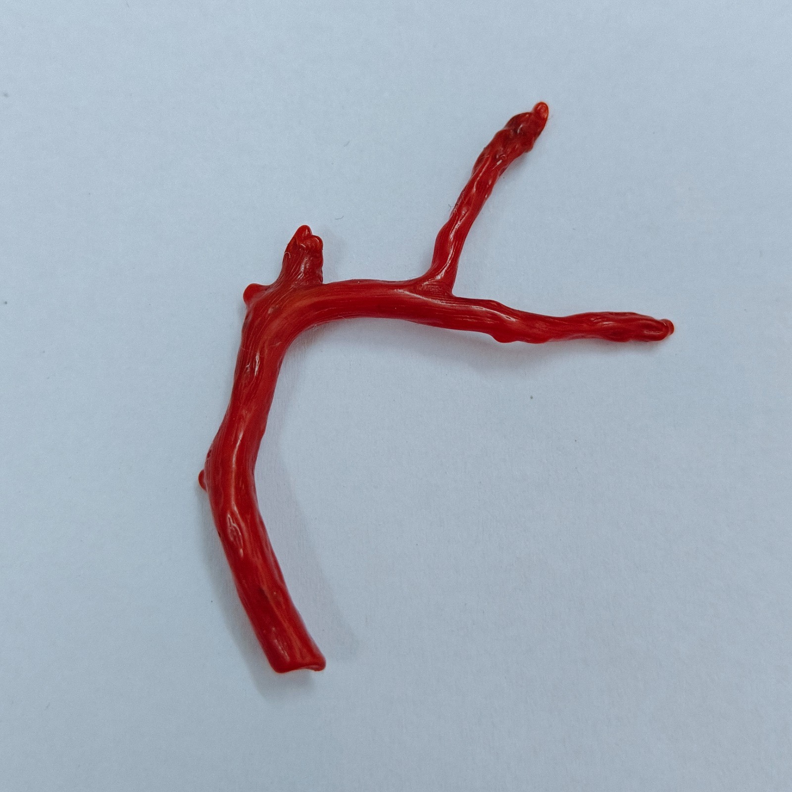 Natural Red Coral Polished Branch Genuine Mediterranean Italian Coral Gemstone