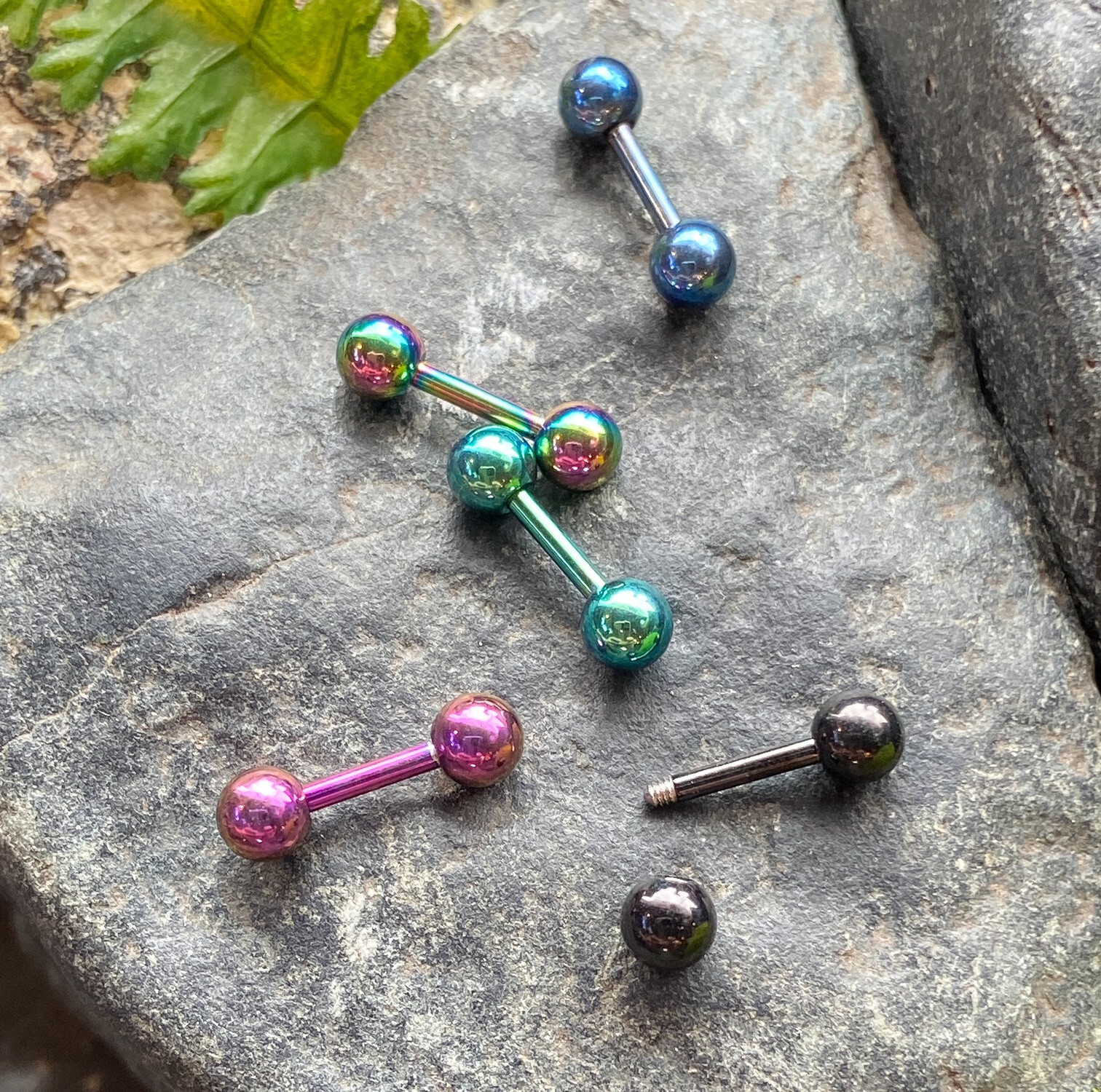 5pc Value Pack Titanium Plated Tragus Barbell Studs Cartilage Helix 16g 1/4″ 6mm