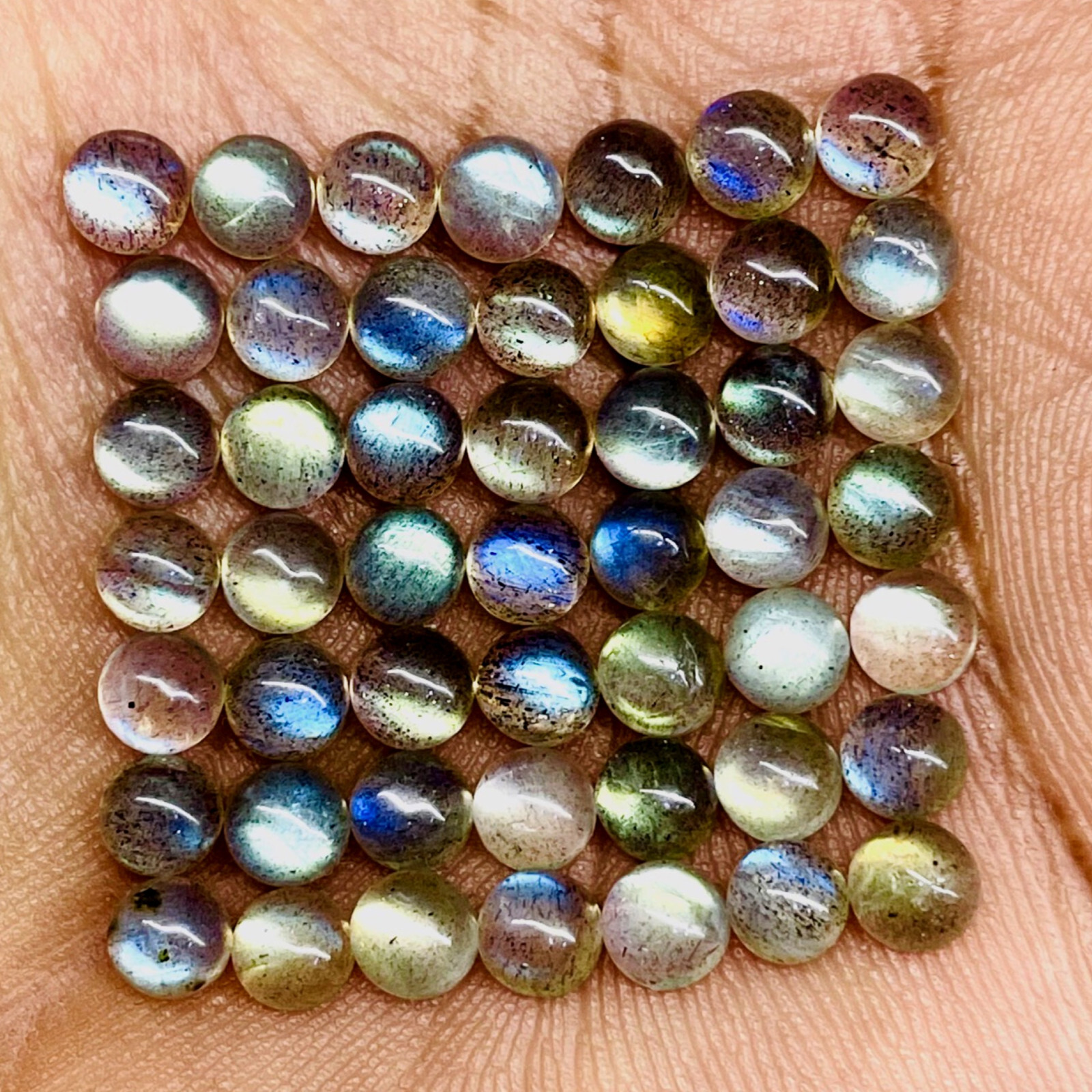 50 Pcs Natural Labradorite 5mm Round Top Quality Loose Cabochon Gemstones Lot