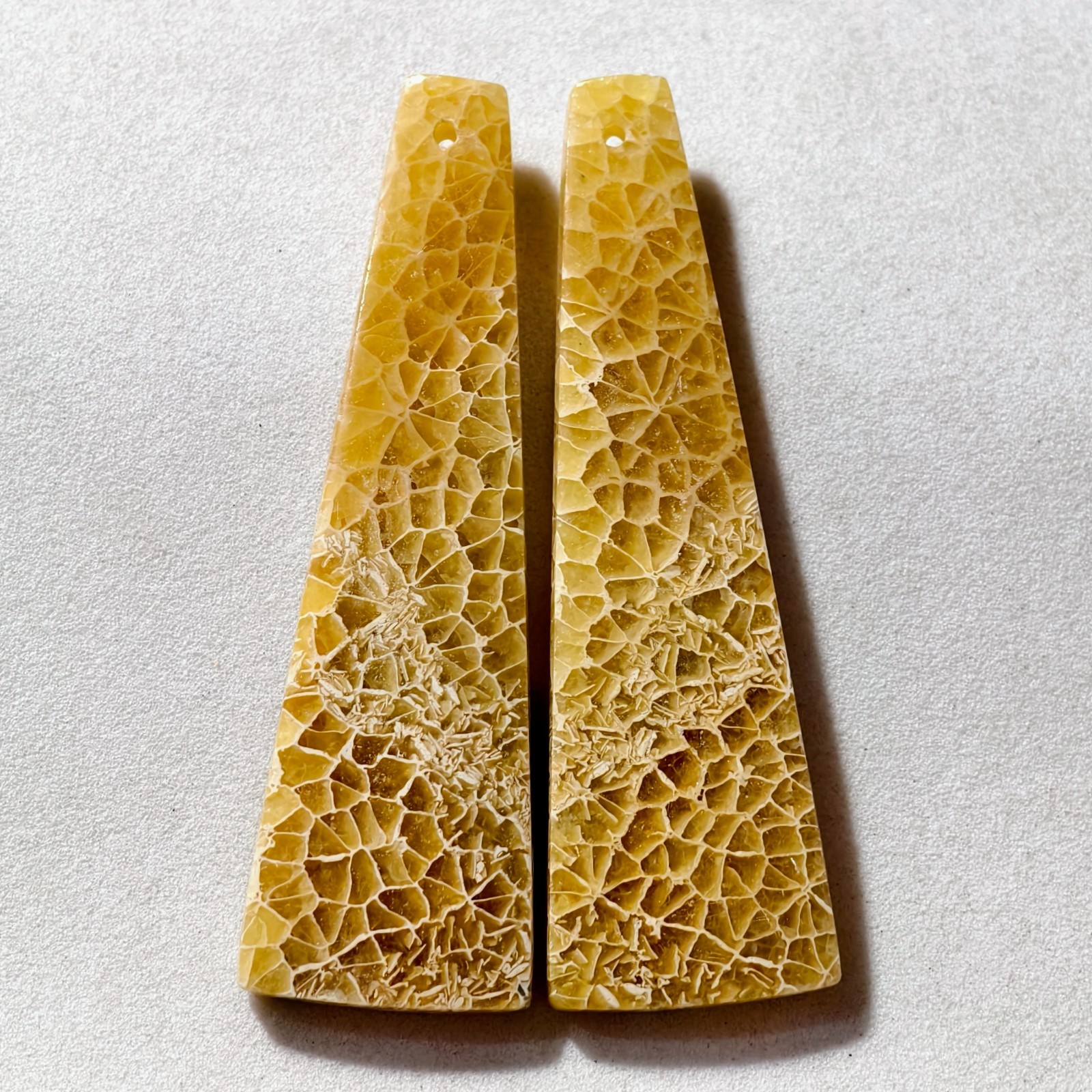 58 Cts Natural Fossilized Coral Drilled Pair Cabochon Gemstone 51.2 X 15.9 MM
