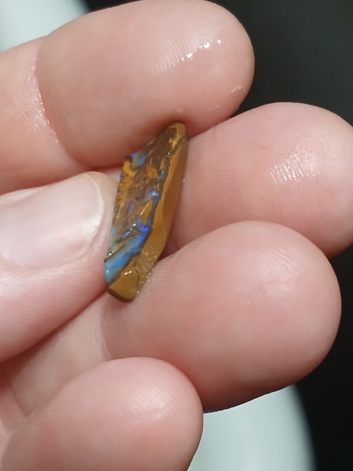 Australia Boulder Opal Unknown Field Blue Green R2037 Specimen 6 Carat