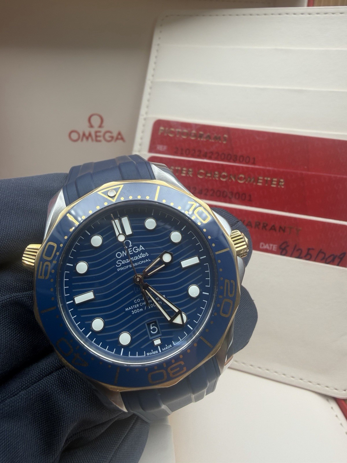 OMEGA Seamaster Diver 300M 210.22.42.20.03.001