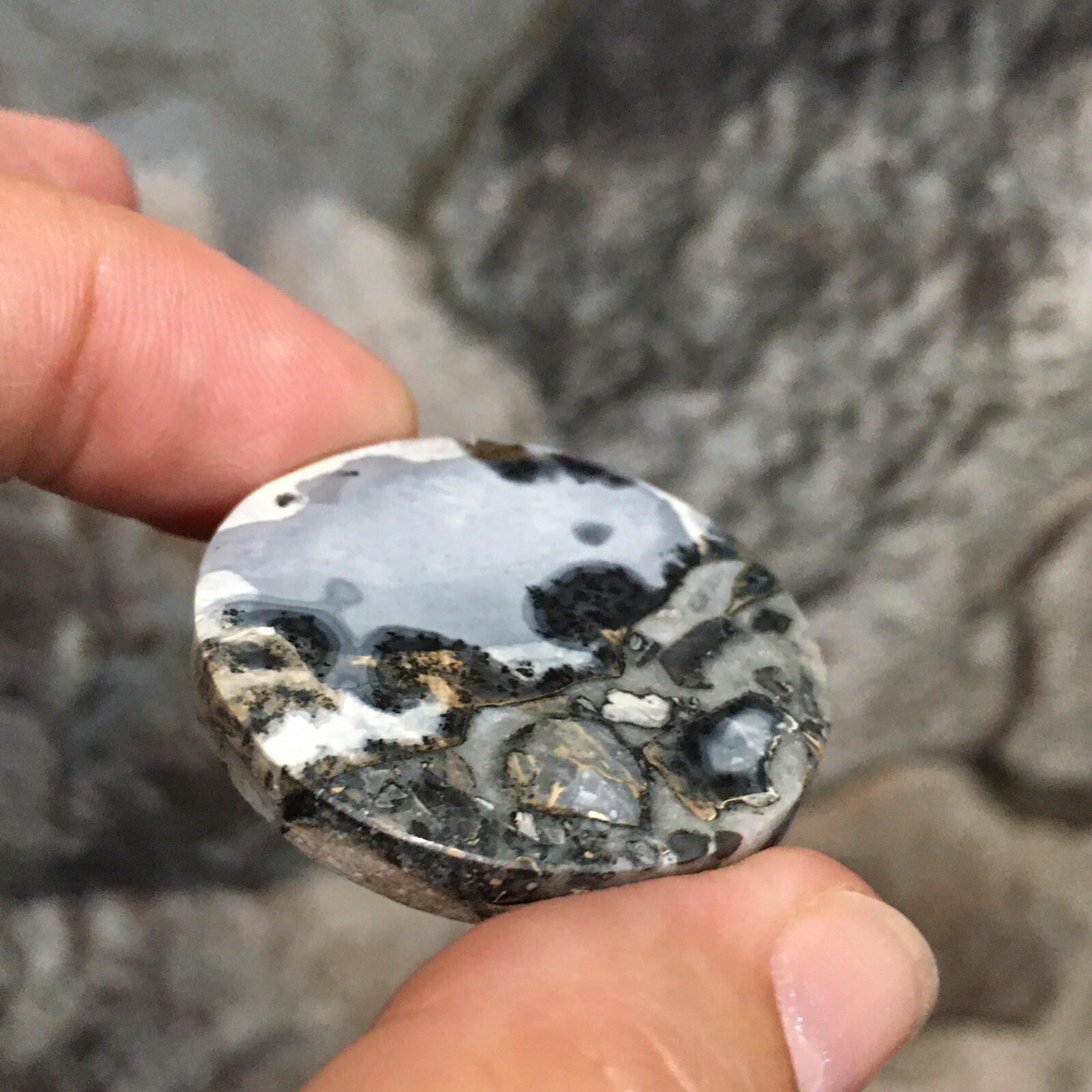 35×5.5mm Collectors’ Fine Maligano Jasper Round Cabochon Picture Stone