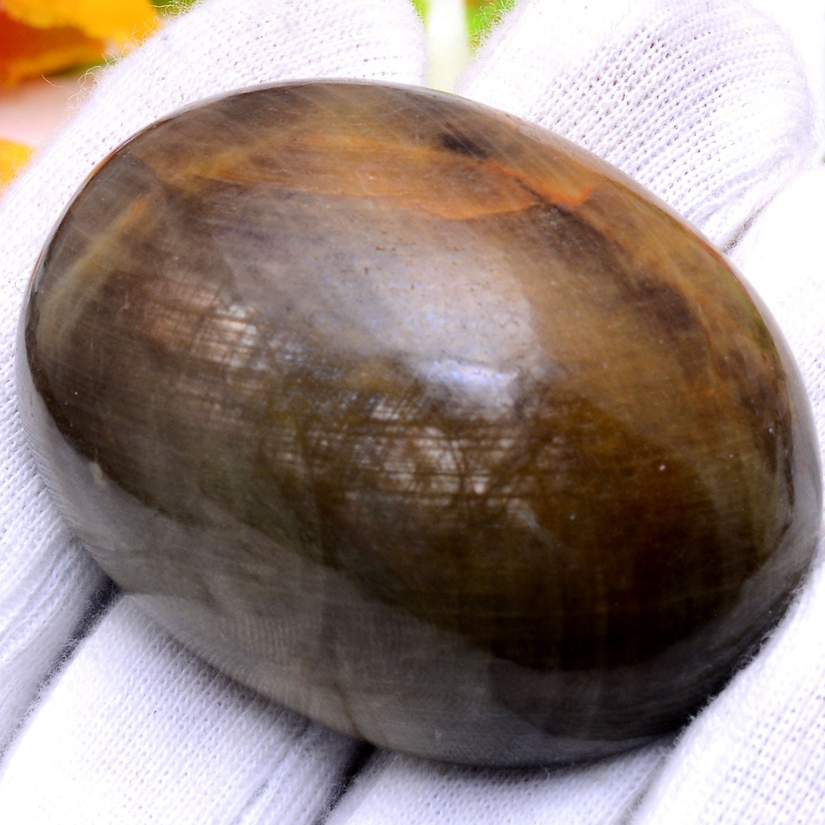 565 Cts Natural Sapphire Oval Cabochon Untreated Huge Museum Size Loose Gemstone