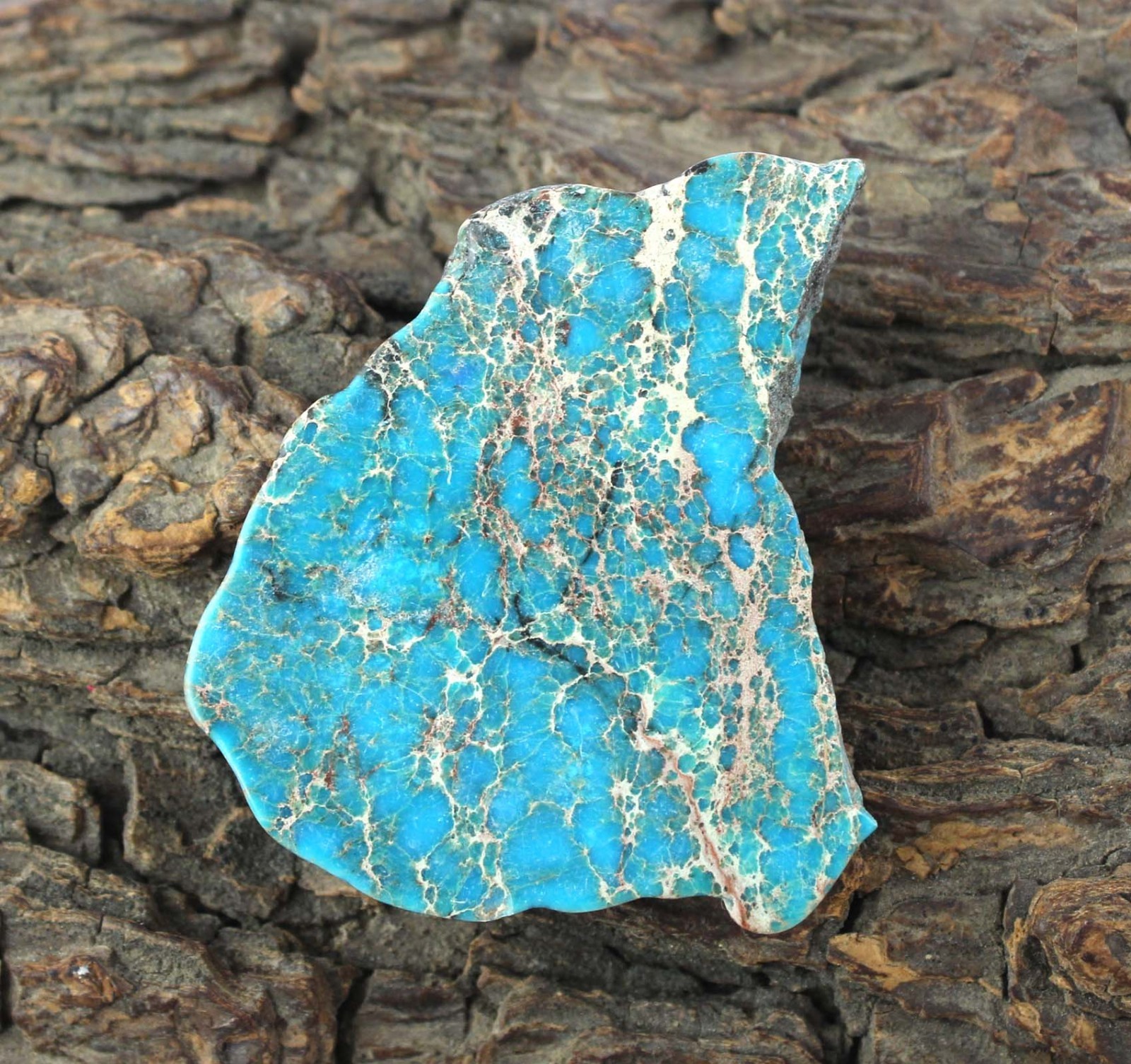 57.55 Ct Natural Blue Ridge Turquoise Gemstone Slab Rough Certified T40404