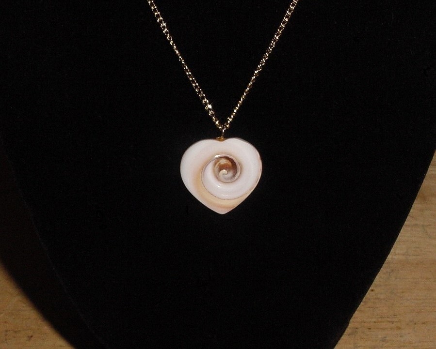 Tribal Heart Pendant-Tan & Cream Sea Shell on 18″ Gold Tone Necklace Chain-NICE