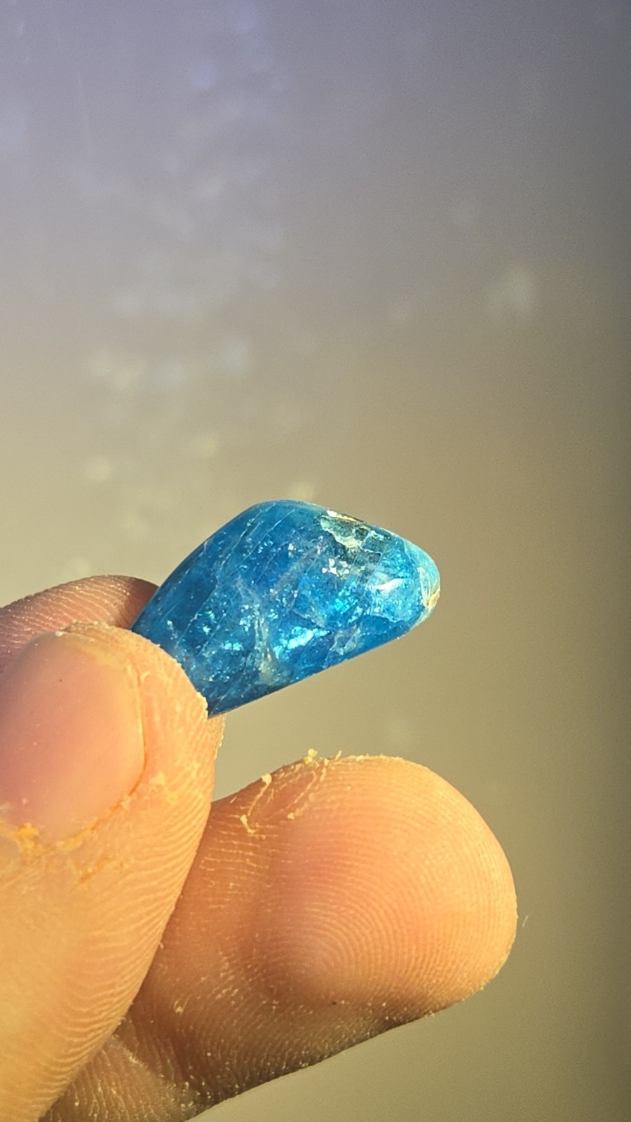 Blue Apatite Cabochon Bundle BOX