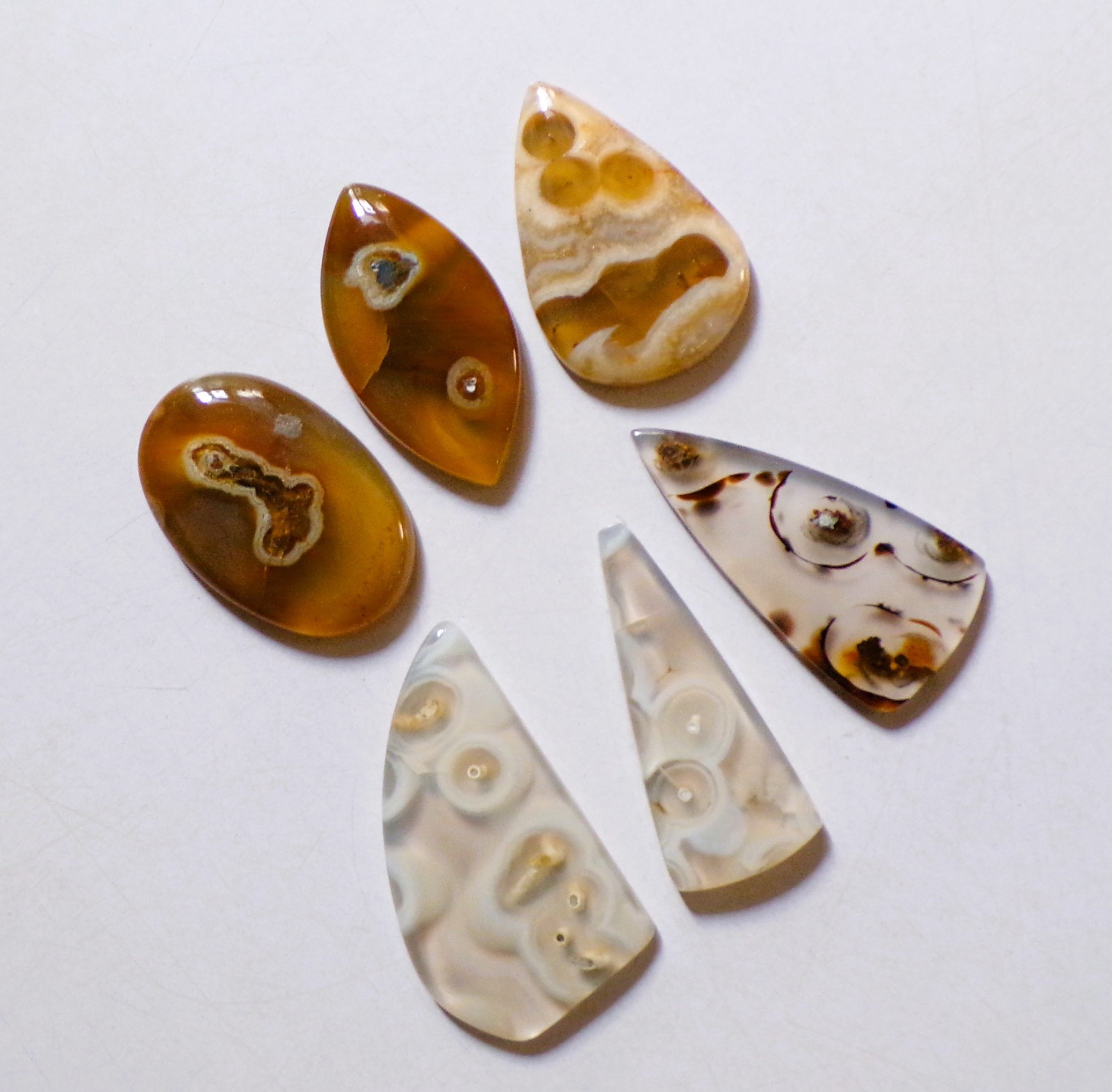 174.30 Cts Natural Orbicular Agate 05 Pcs Lot Loose Cabochon Gemstone 04