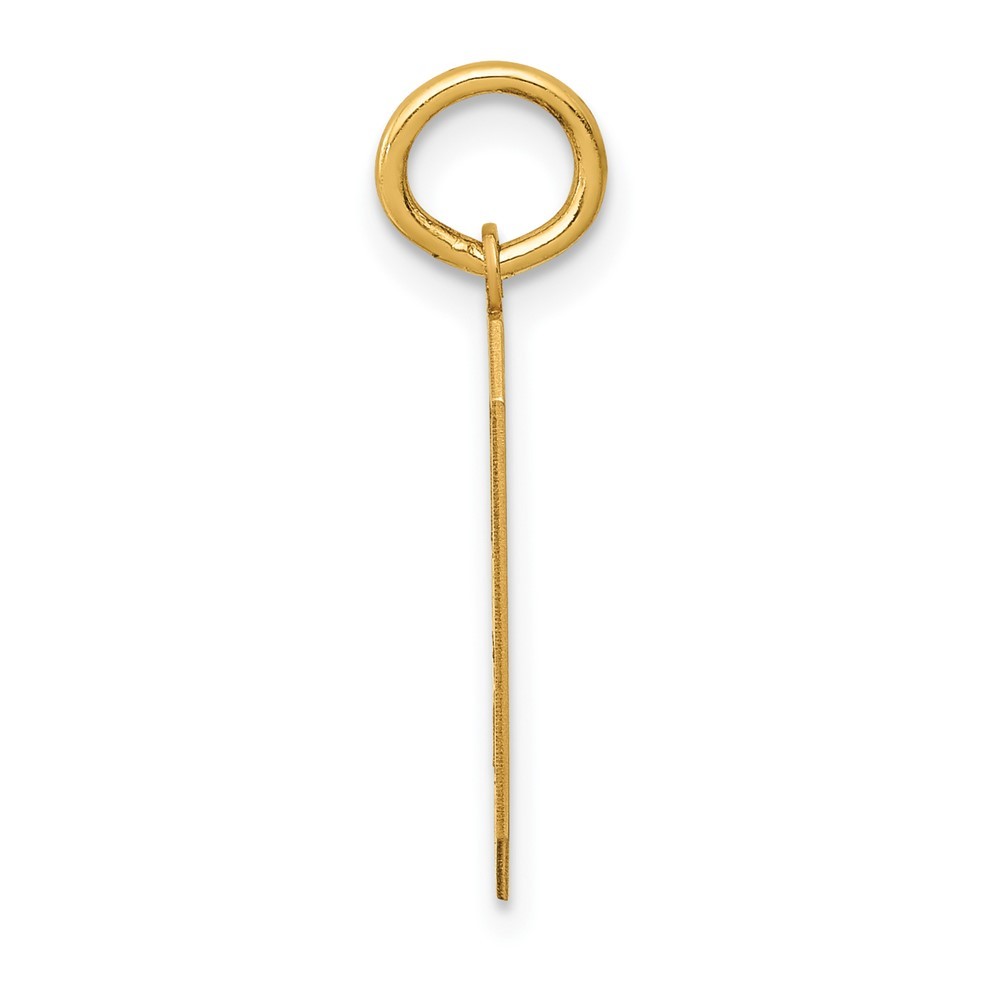 10k Yellow Gold Medium Satin Number 9 Charm Pendant 0.27g