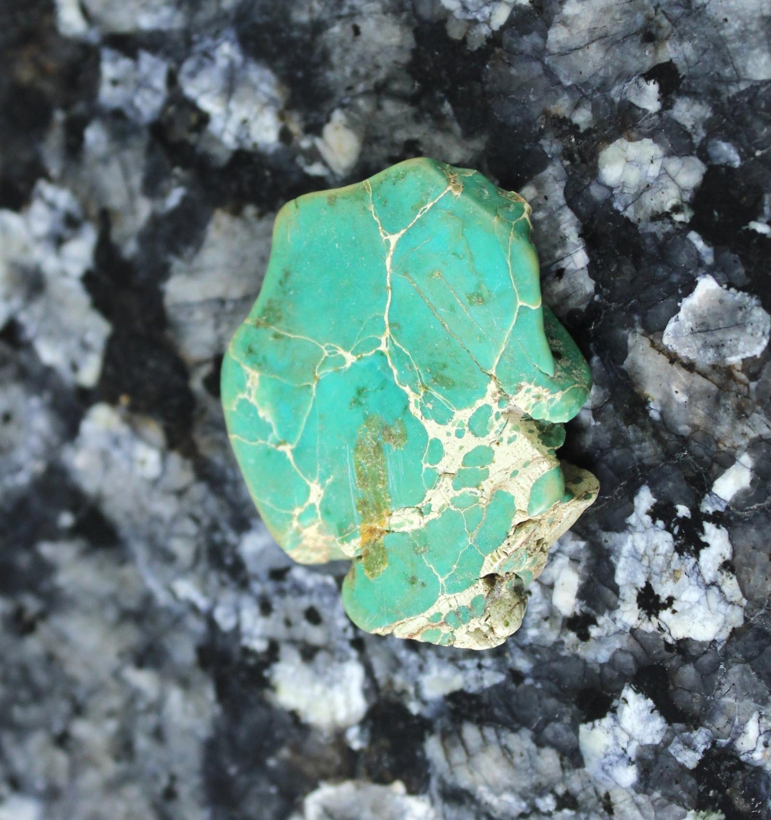 Blue Ridge Turquoise 46.35 Ct Natural Sleeping Beauty Gemstone Slab Rough T40587