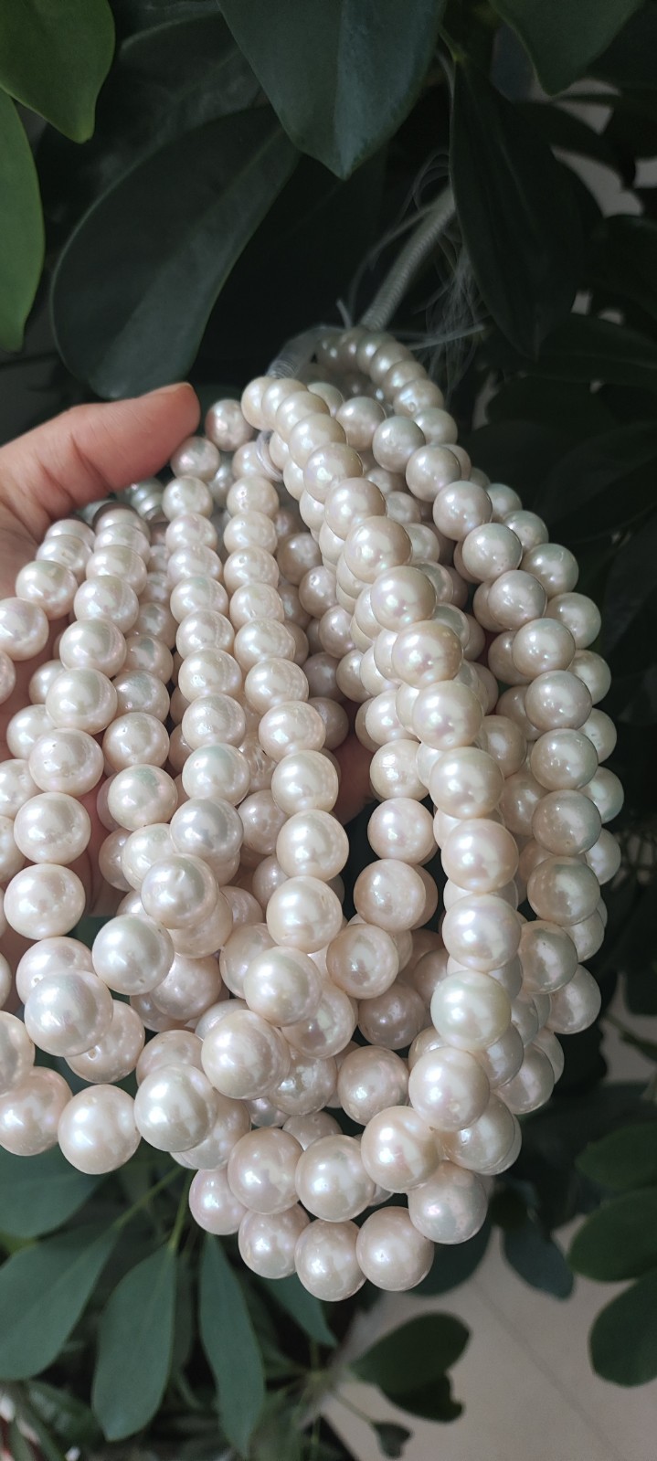 AAAAA 12-13 MM GENUINE NATURAL Australian south sea white pearl necklace 18″