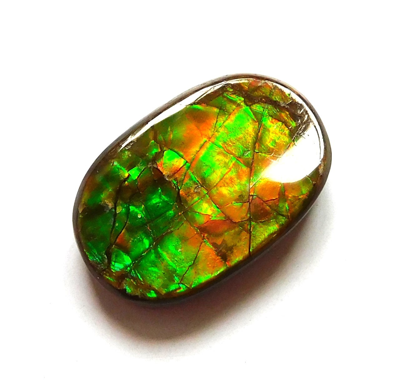 11.70 Ct Natural Canadian Ammolite Cabochon Loose Gemstone 18.4X12X4.4MM JK105