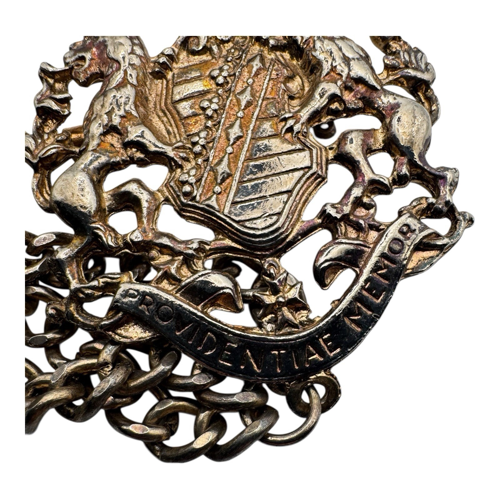 Heraldic Coat of Arms Brooch Chain Victorian Style Crown Lion Eagle Keys Crest