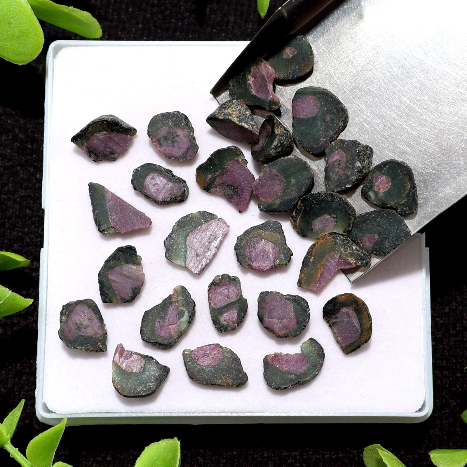 27 PC Natural Watermelon Ruby Untreated 11.5mm-17.4mm Rough Loose Gemstones Lot