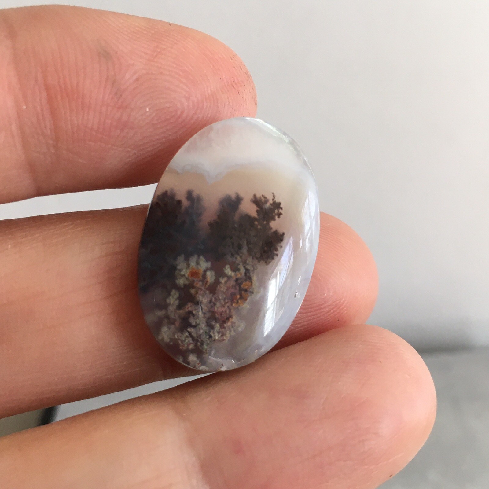 23.3×15.7x5mm Fine Silver Garden Moss Agate Oval Cabochon Loose Picture Stone