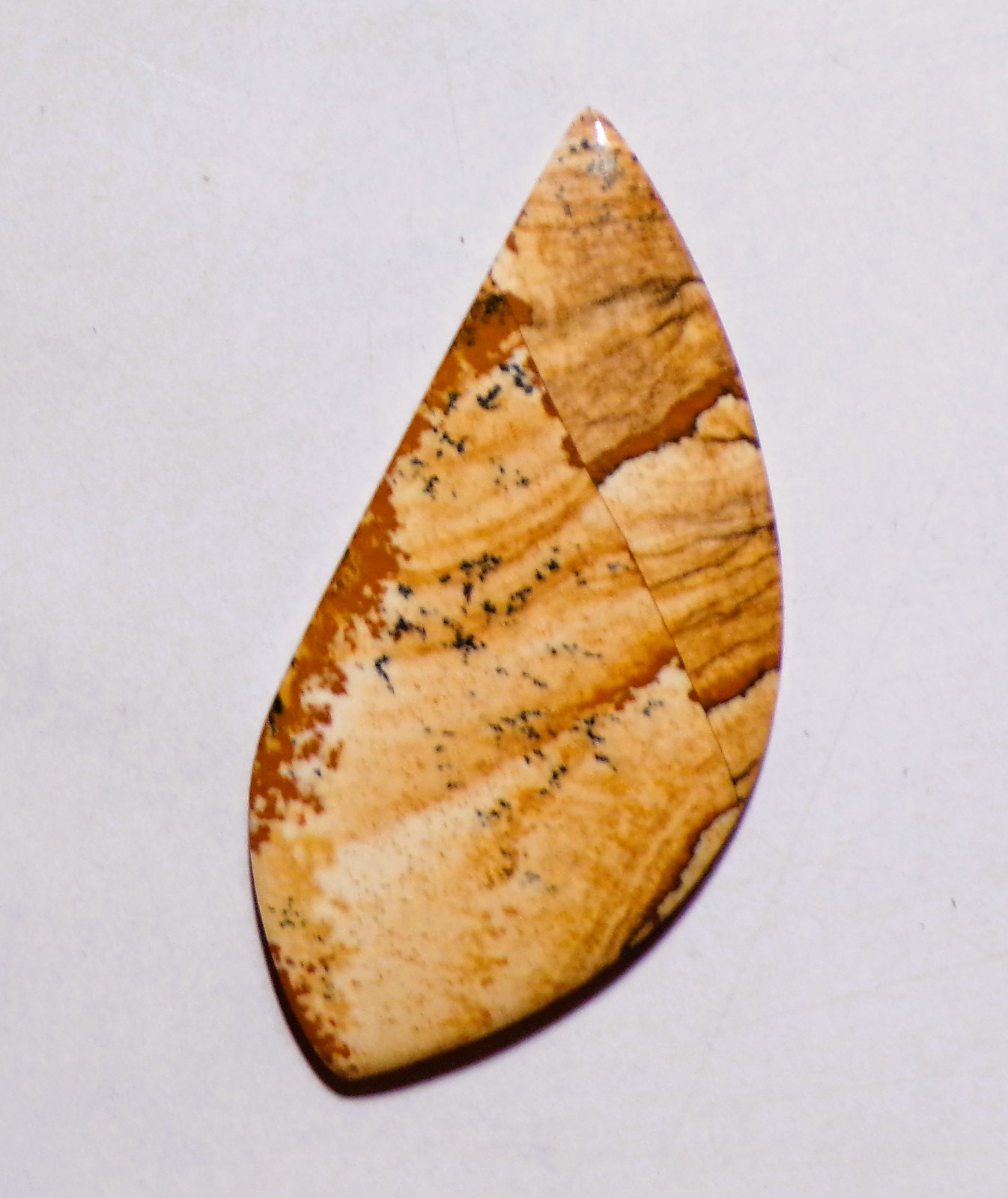 38.30 Cts Natural Picture Jasper Cabochon Loose Gemstone 55X26X4MM