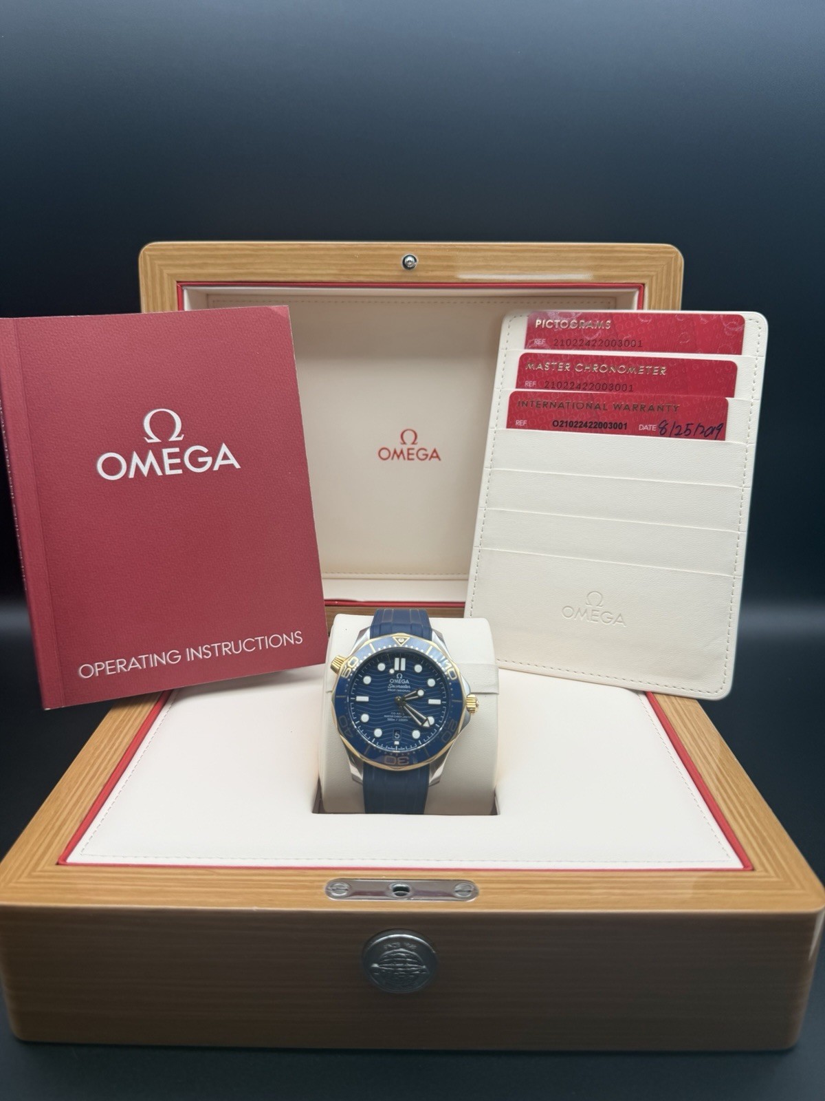 OMEGA Seamaster Diver 300M 210.22.42.20.03.001
