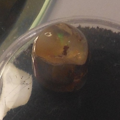 4.90ct Mexican Fire Opal