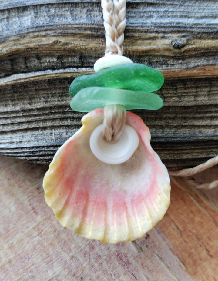 Sunrise Shell & Sea Glass Necklace Braid Beach Aloha Gift Puka Pecten Langfordi