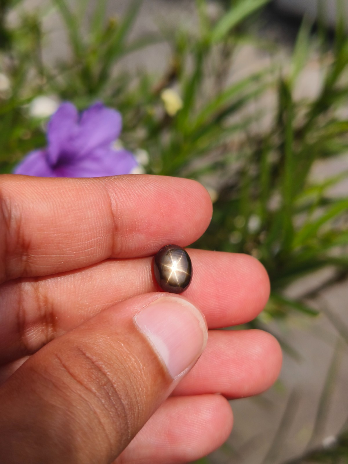 3.48 Cts A BEAUTIFUL NO HEAT BLACK STAR SAPPHIRE OF PERFECT 6 RAYS STAR ✨