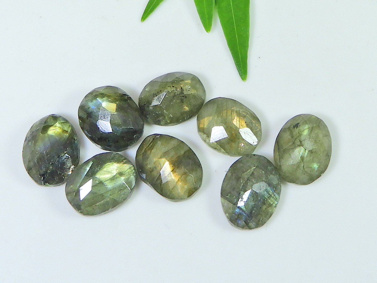 10X12MM Natural Labradorite Checker Cut Oval Cabochon Loose Gemstone 8PcsLot z32