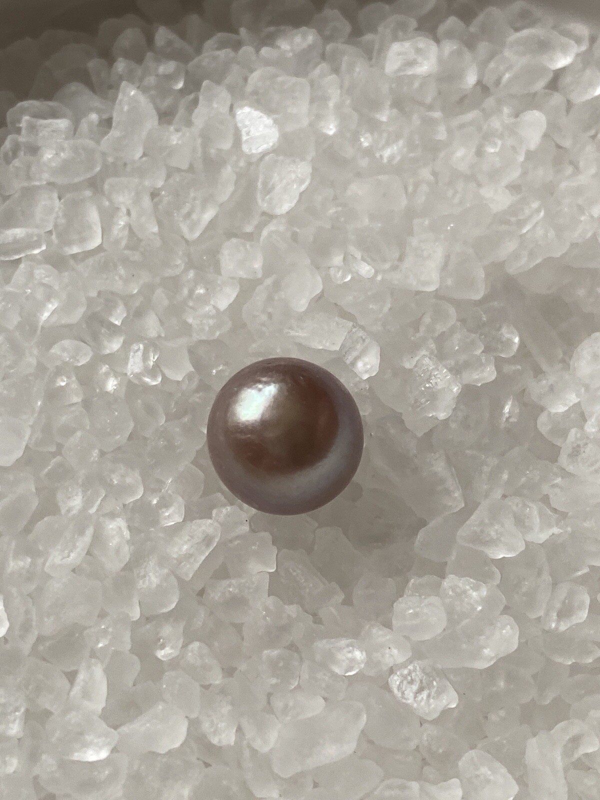 Loose Pearl Akoya – Quality AAA _ 10.1 MM – Lavender