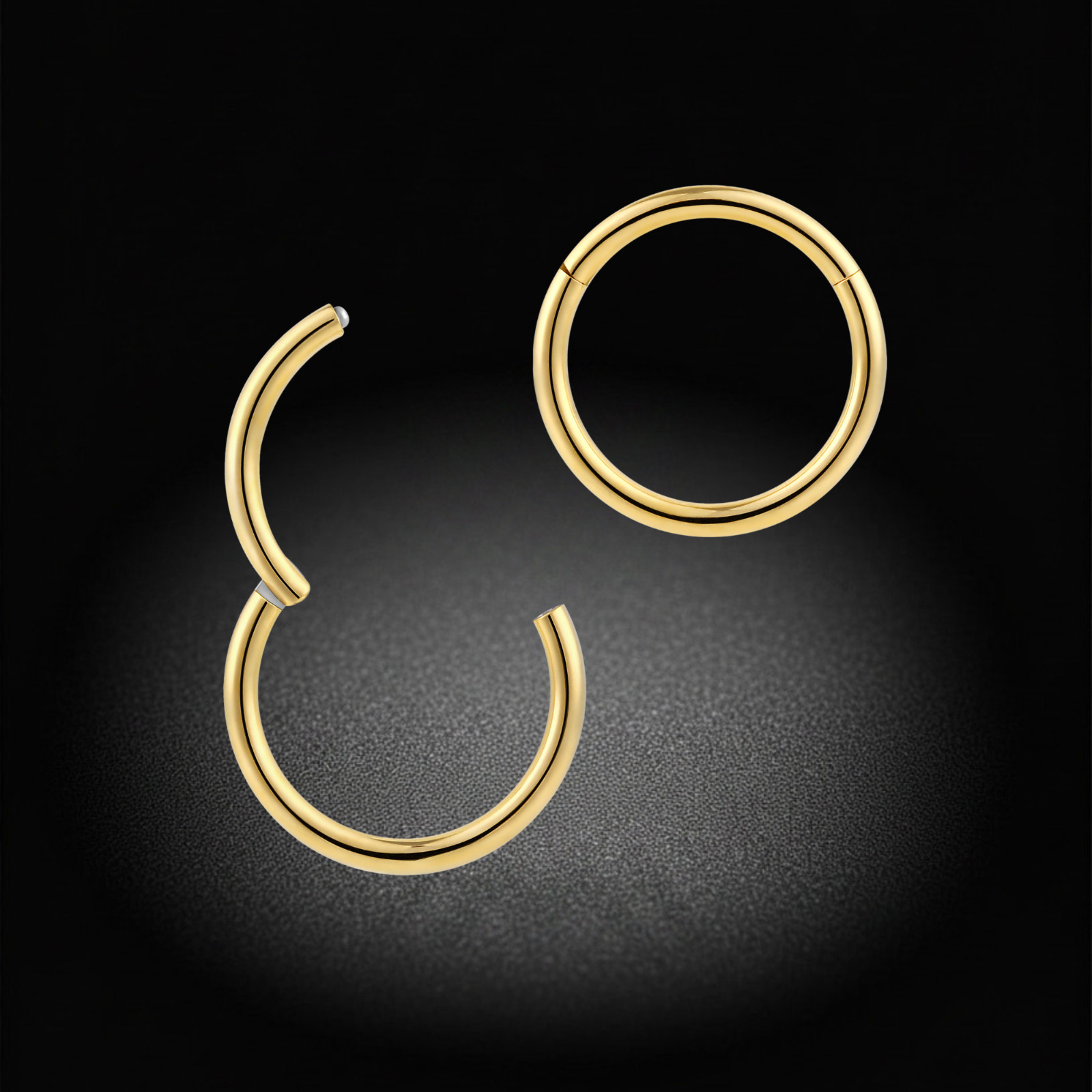 2Pcs Titanium 16G 14G Hinged Segment Septum Tragus Nose Lip Ring Sleeper Earring