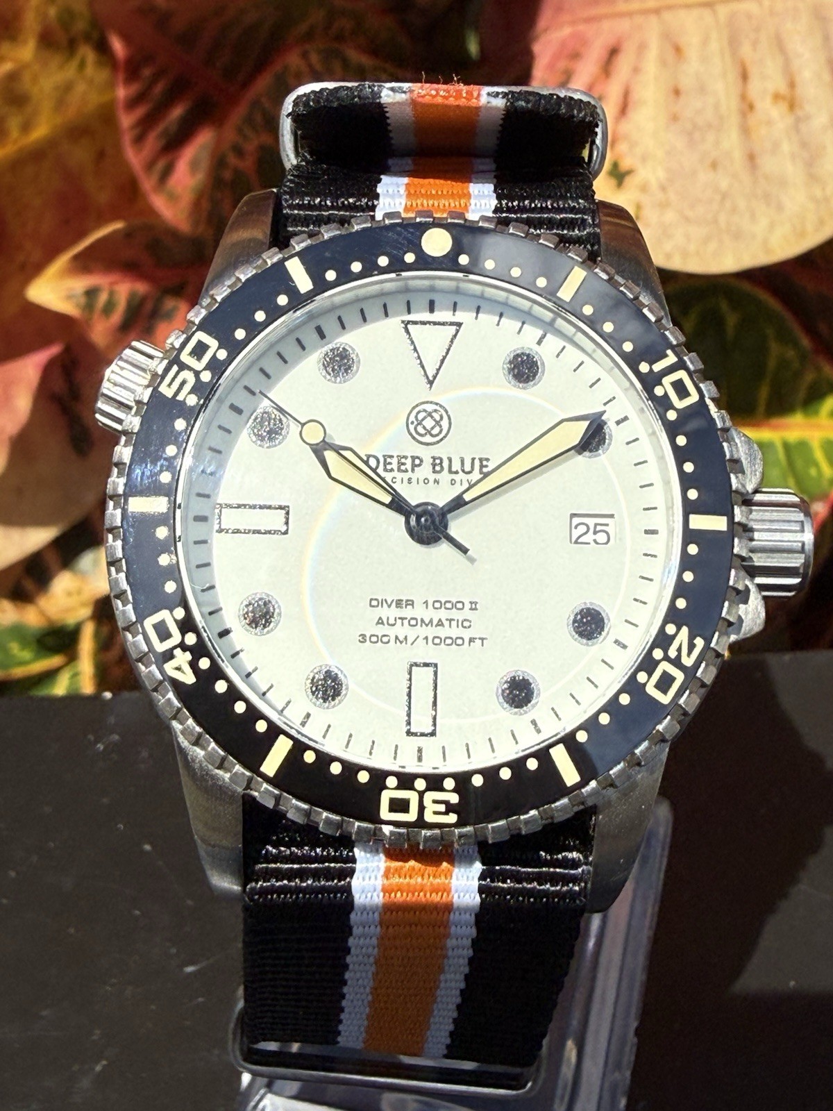 Deep Blue Precision Diver 1000 II 40mm White Full Lume Dial Nato Box Papers