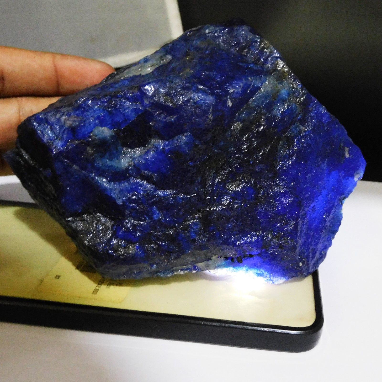 126.40 Ct Natural Blue Sapphire Uncut Raw Rough CERTIFIED Loose Gemstone