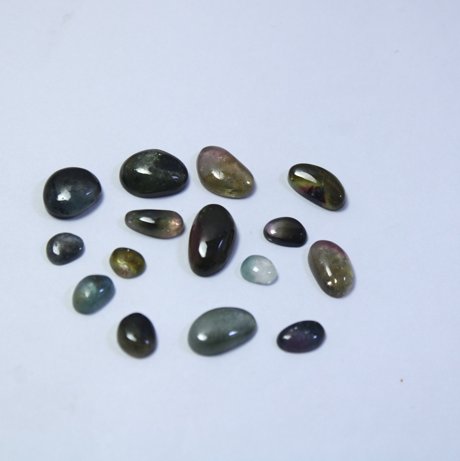 31 Carat Natural Watermelon Bi-Color Smooth Tourmaline Slice 15 Piece Lot
