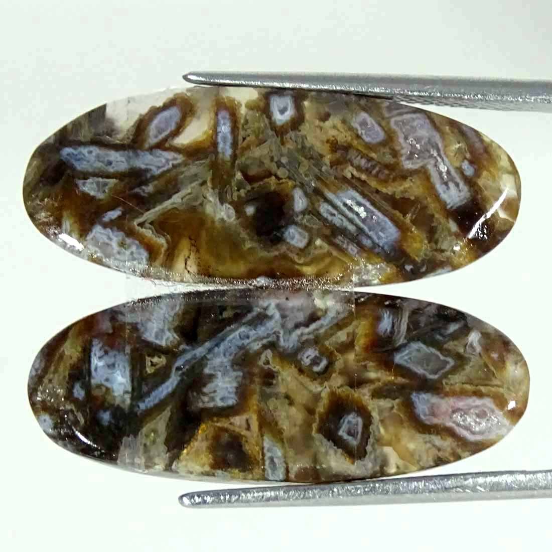 20.50Cts Natural Turkey Stick Agate Oval Pair Cabochon Loose Gemstone