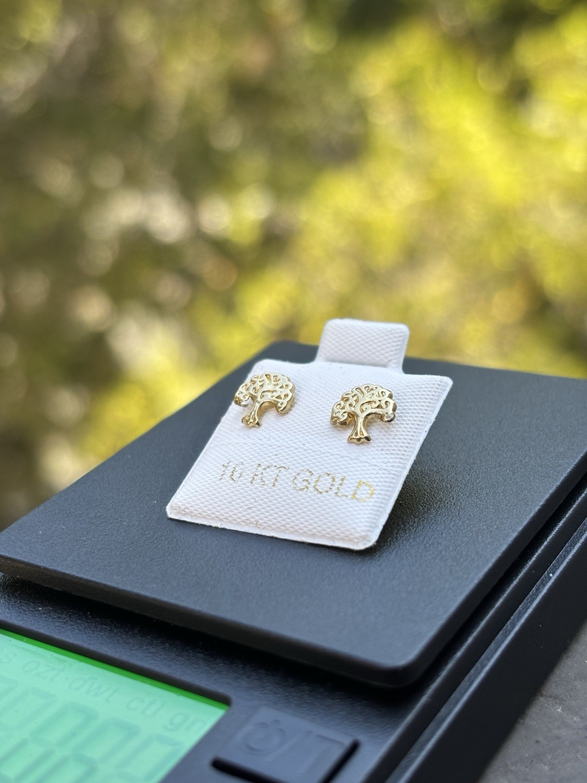10K Yellow Gold Tree Stud Earrings No Stone Lobe Nature