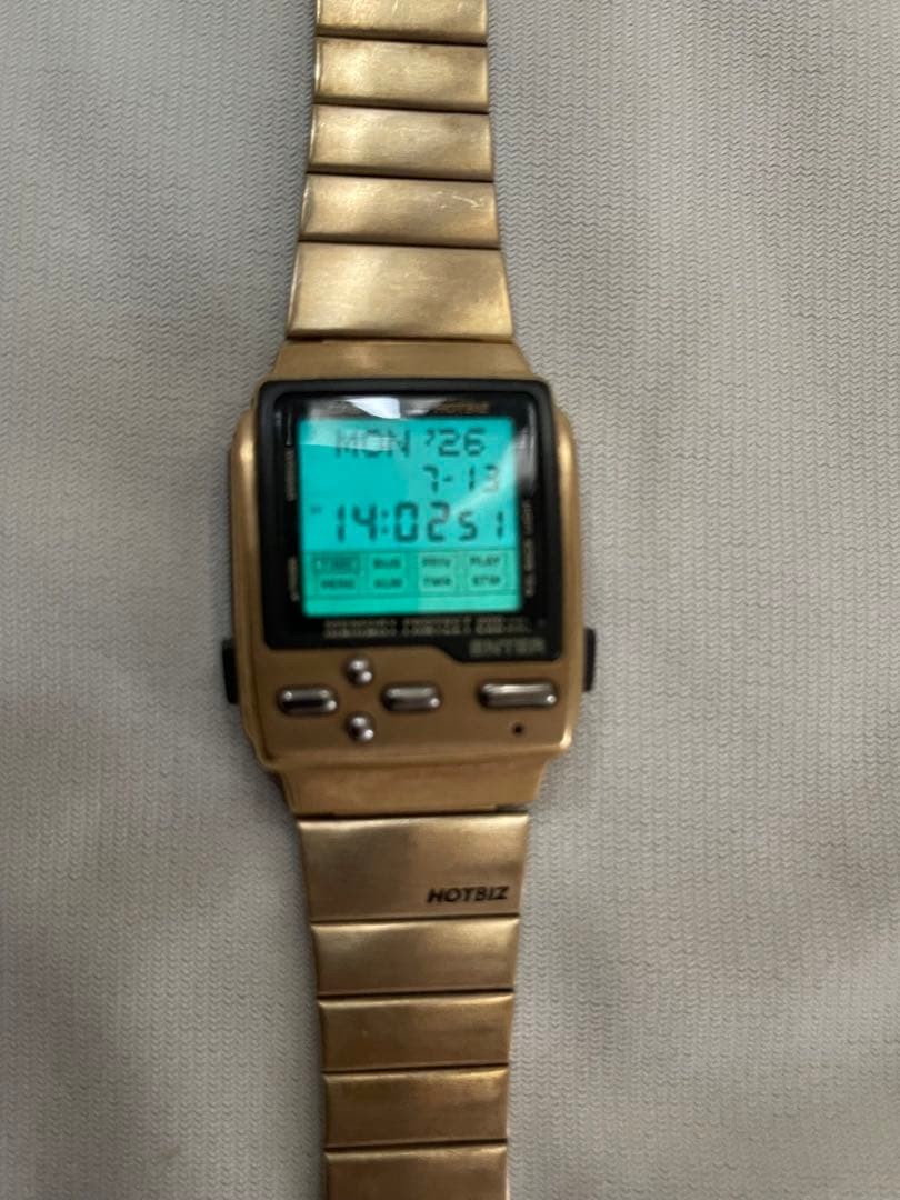 Working condition Casio HOTBIZ DB-2000