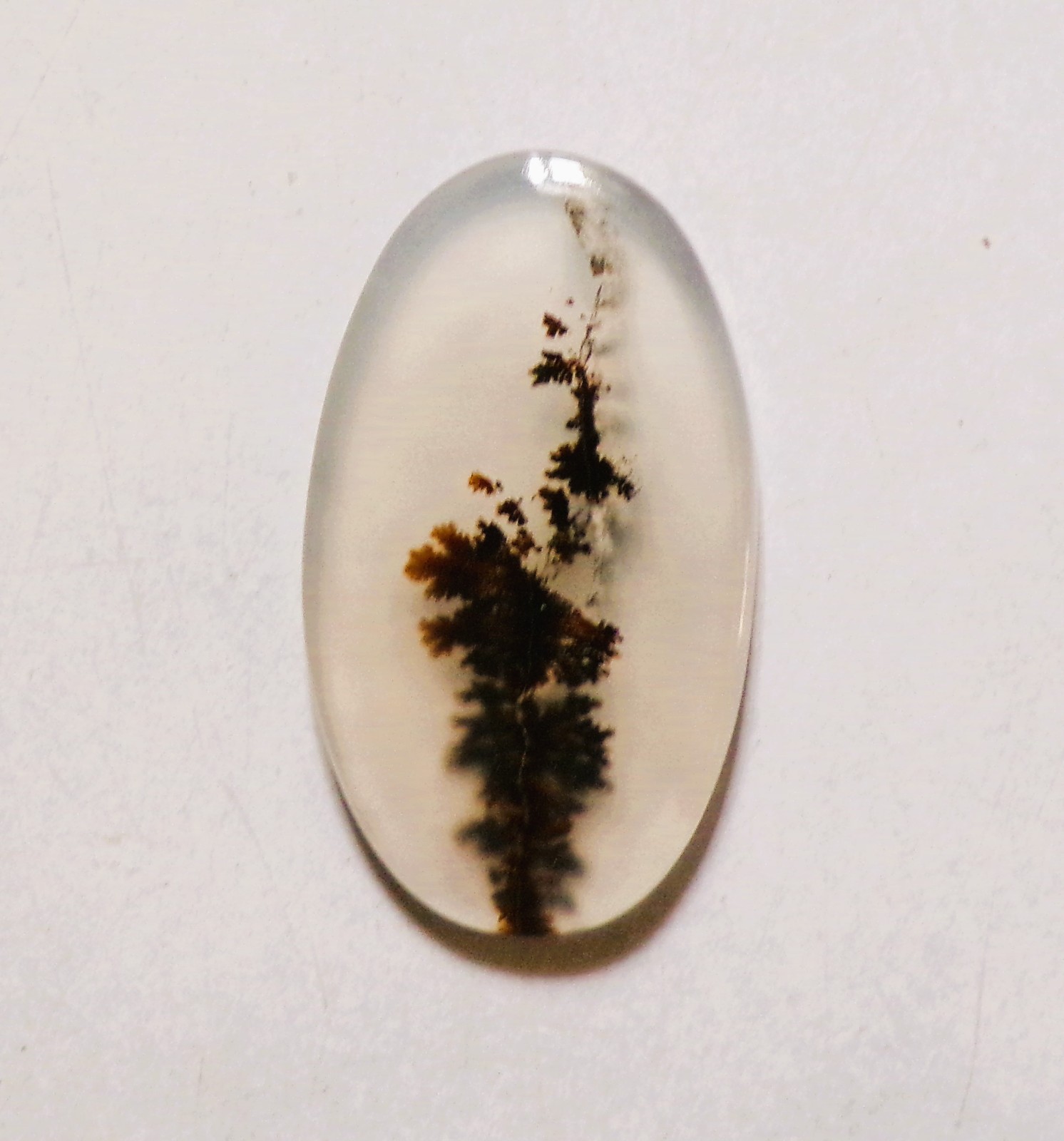 12.45 Cts Natural Shazar Dendritic Agate Cabochon Loose Gemstone 27X16X3.3MM 20