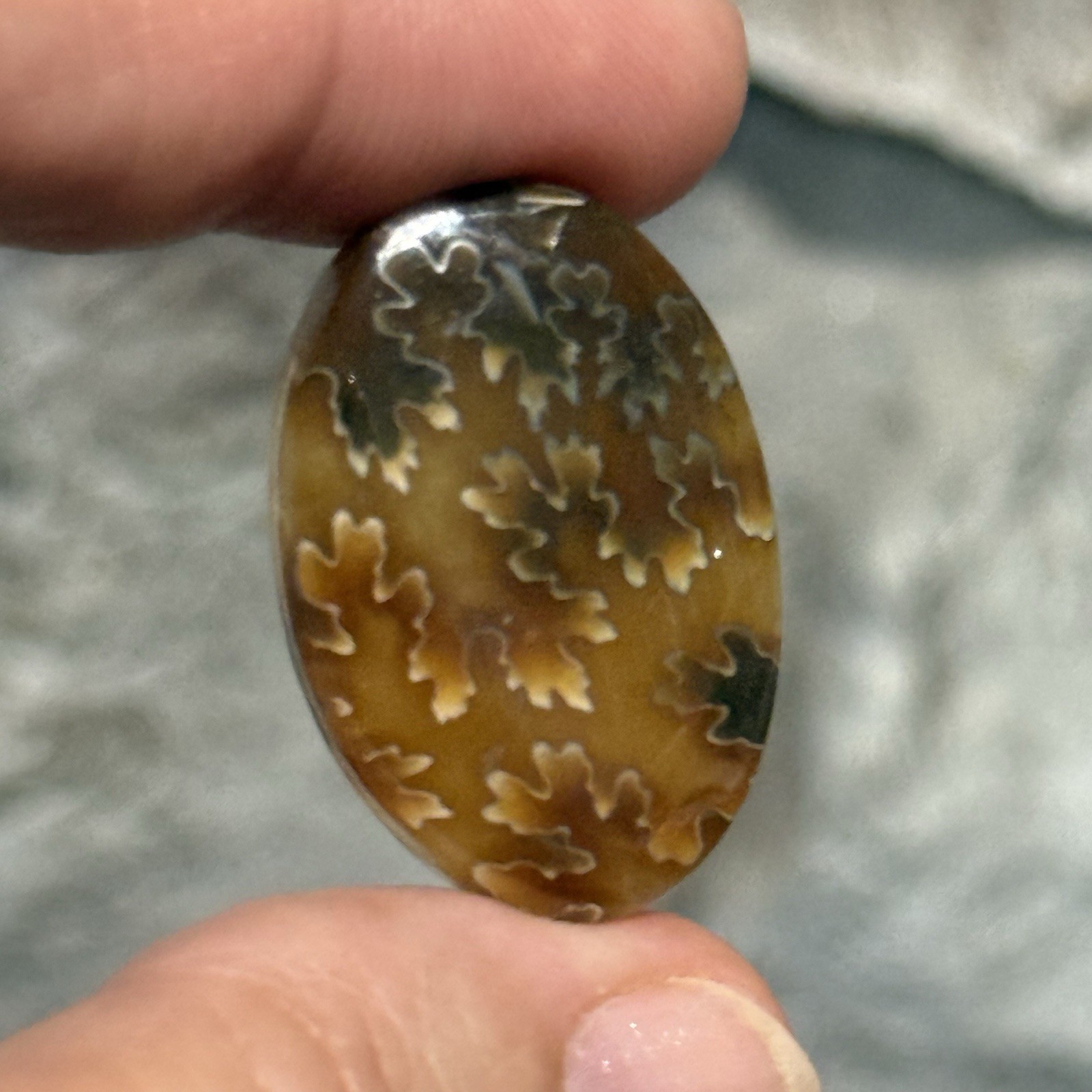 33ct 30×20.6×5.8mm Fine Ammonite Fossil Oval Cabochon Gemstone