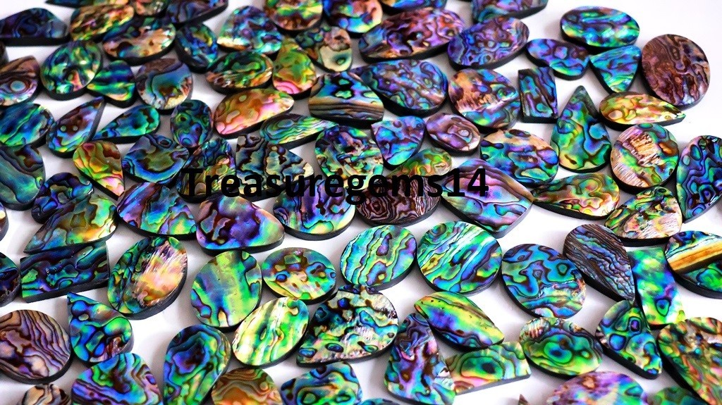 500 CT WHOLESALE LOT NATURAL RAINBOW FIRE ABALONE SHELL CABOCHAN GEMSTONE