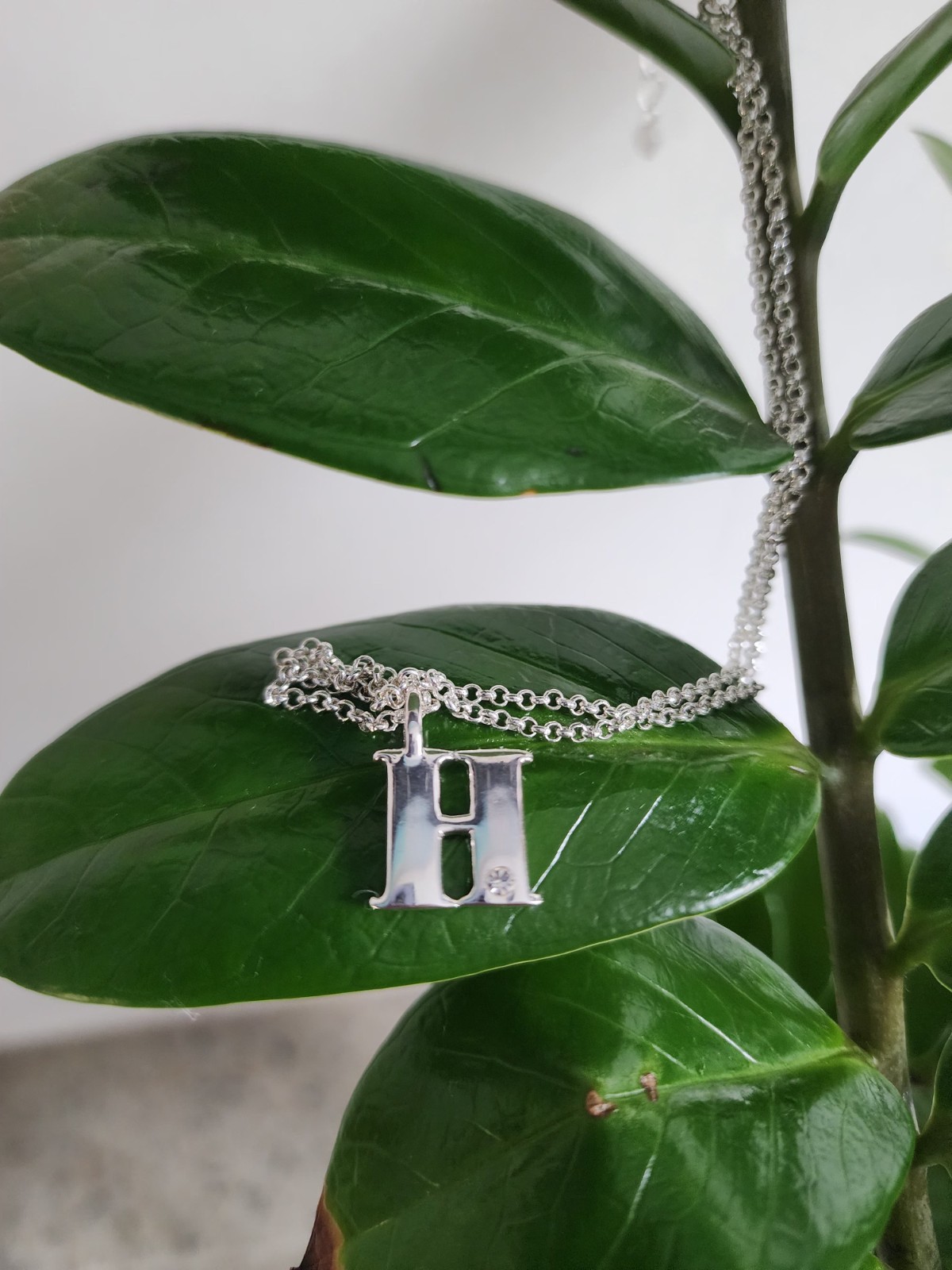 Silver Tone Necklace and Ring Set