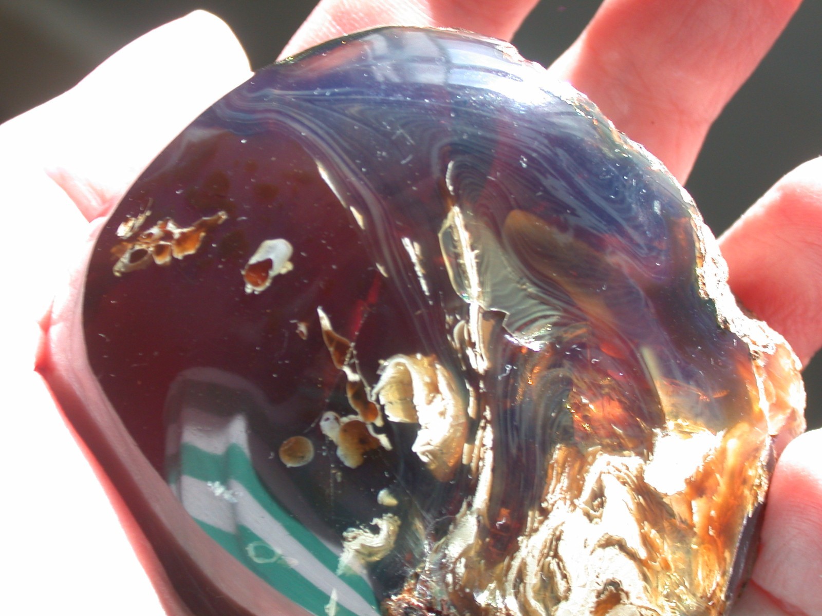 Beautiful BLUE Multicolor AMBER Fossil Gemstone LARGE 132 gram Piece
